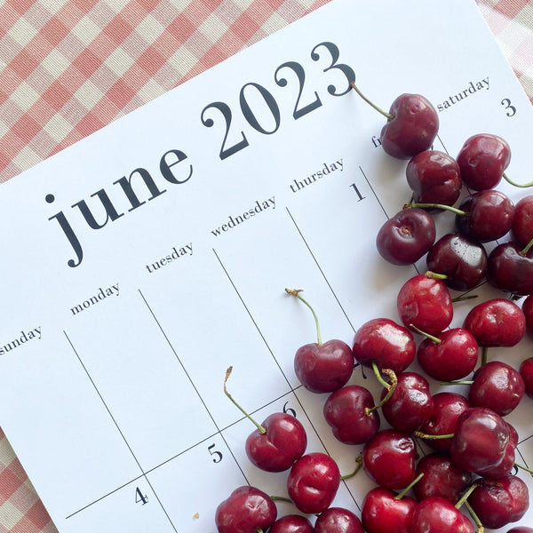 2024 - 2025 calendar 11x17 for wall or fridge